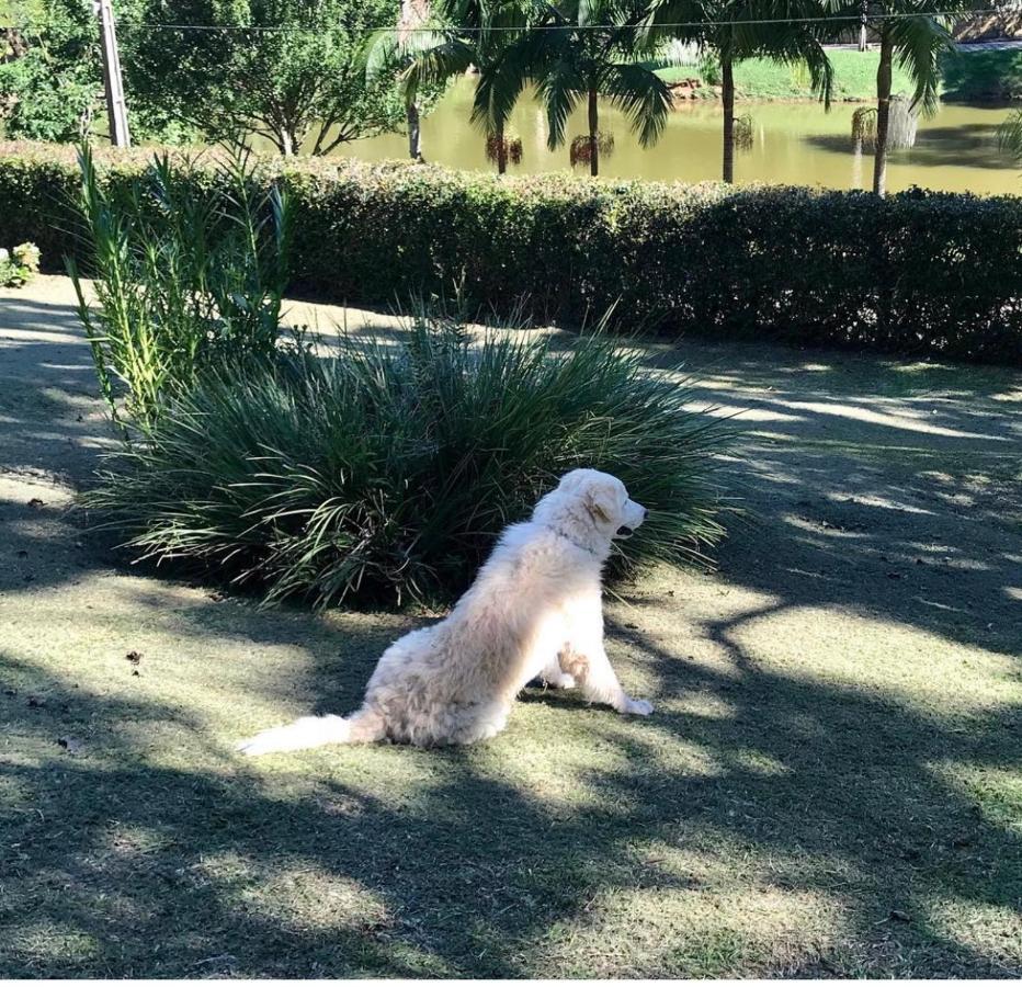 Natal e ano novo e férias na Casa maravilhosa da serra casa inteira Teresópolis Exterior foto