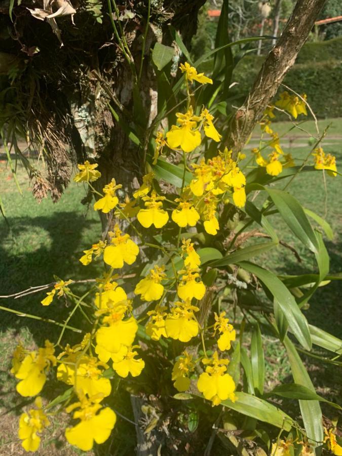 Natal e ano novo e férias na Casa maravilhosa da serra casa inteira Teresópolis Exterior foto