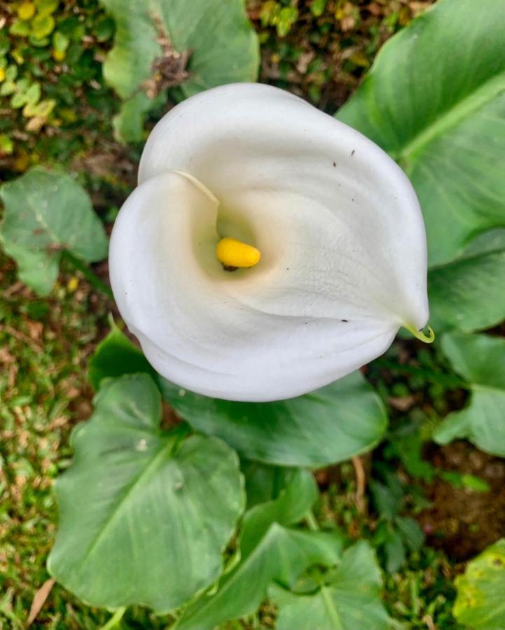 Natal e ano novo e férias na Casa maravilhosa da serra casa inteira Teresópolis Exterior foto