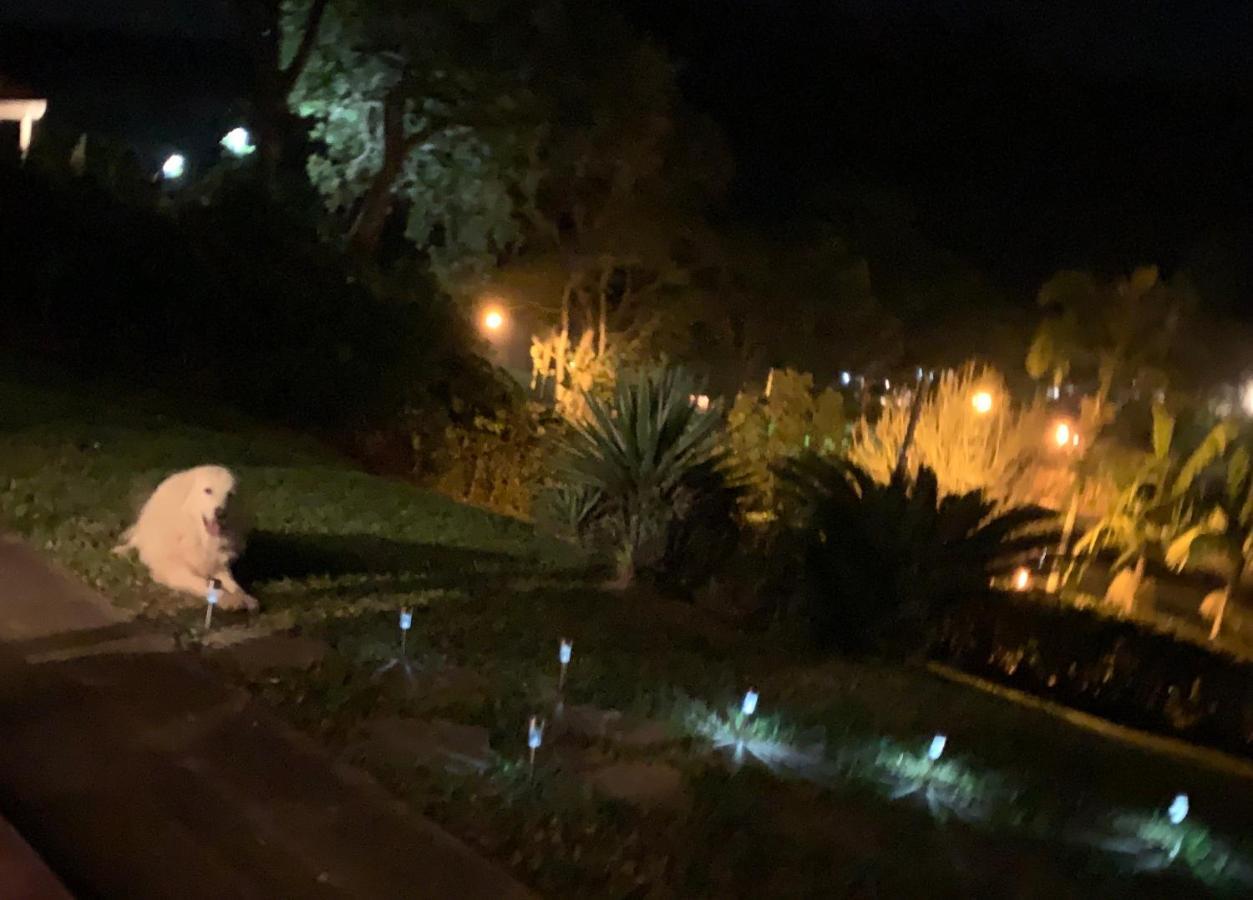 Natal e ano novo e férias na Casa maravilhosa da serra casa inteira Teresópolis Exterior foto
