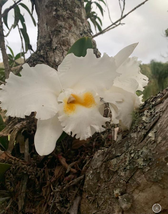 Natal e ano novo e férias na Casa maravilhosa da serra casa inteira Teresópolis Exterior foto